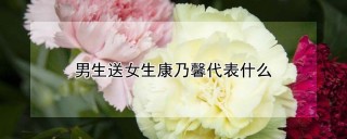 男生送女生康乃馨代表什么,第1图