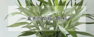 富贵竹加什么肥料,第1图