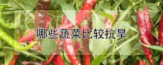 哪些蔬菜比较抗旱,第1图