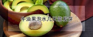 牛油果泡水几天能发芽,第1图