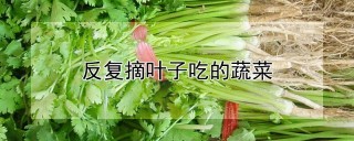 反复摘叶子吃的蔬菜,第1图