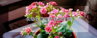 长寿花繁殖方法和时间,第1图