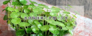 水培铜钱草几天换一次水,第1图