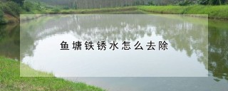 鱼塘铁锈水怎么去除,第1图