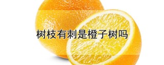 树枝有刺是橙子树吗,第1图