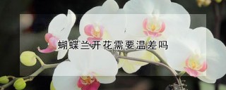 蝴蝶兰开花需要温差吗,第1图