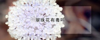 翠珠花有毒吗,第1图