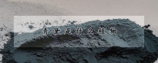 青黛是什么植物,第1图