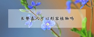 长势喜人可以形容植物吗,第1图