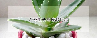 芦荟生长环境和特点,第1图