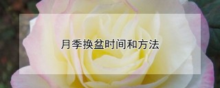 月季换盆时间和方法,第1图