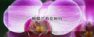 蝴蝶兰有花粉吗,第1图