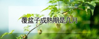 覆盆子成熟期是几月,第1图