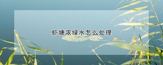 虾塘浓绿水怎么处理,第1图