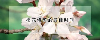 樱花修剪的最佳时间,第1图