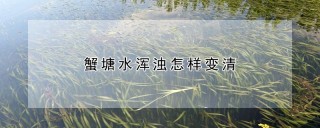 蟹塘水浑浊怎样变清,第1图