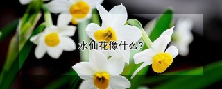 水仙花像什么?,第1图