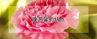 康乃馨的特点,第1图