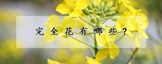 完全花有哪些?,第1图