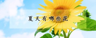 夏天有哪些花,第1图