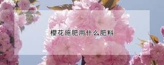 樱花施肥用什么肥料,第1图