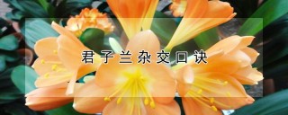 君子兰杂交口诀,第1图