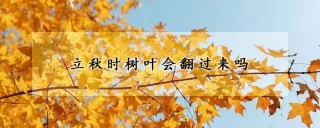 立秋时树叶会翻过来吗,第1图