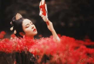 彼岸花花语，在生与死的彼岸盛开,第3图