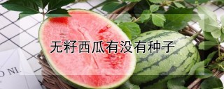 无籽西瓜有没有种子,第1图