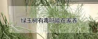 绿玉树有毒吗能在家养,第1图