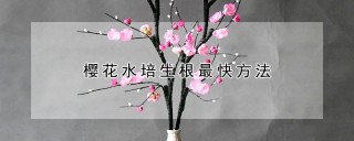 樱花水培生根最快方法,第1图