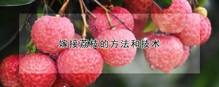 嫁接荔枝的方法和技术,第1图