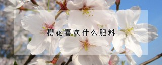 樱花喜欢什么肥料,第1图