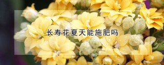 长寿花夏天能施肥吗,第1图