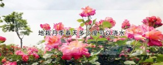 地栽月季春天多少度可以浇水,第1图