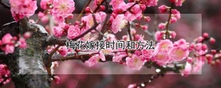 梅花嫁接时间和方法,第1图