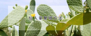 仙人掌繁殖方法,第1图