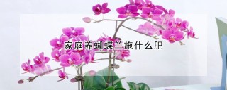 家庭养蝴蝶兰施什么肥,第1图