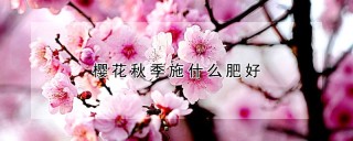 樱花秋季施什么肥好,第1图