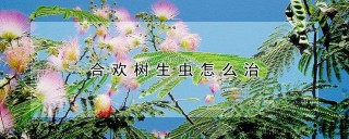 合欢树生虫怎么治,第1图