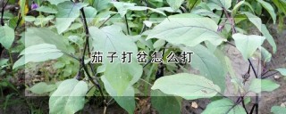 茄子打岔怎么打,第1图