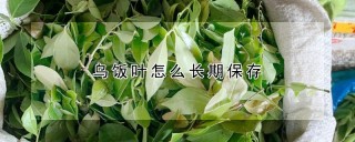 乌饭叶怎么长期保存,第1图