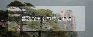 松树的生长环境和特点,第1图