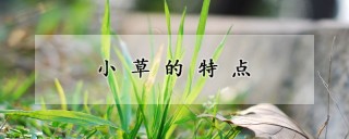 小草的特点,第1图