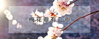 梅花瓣有几瓣,第1图