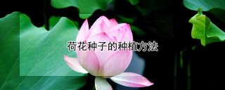 荷花种子的种植方法,第1图