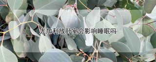 尤加利放卧室会影响睡眠吗,第1图