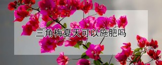 三角梅夏天可以施肥吗,第1图