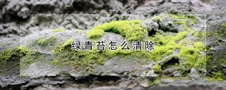 绿青苔怎么清除,第1图