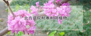 北方庭院耐寒耐阴植物,第1图